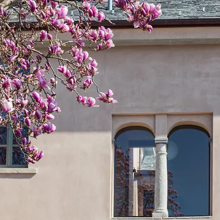 Bifora65 Flats And Garden - Lakeview Lejlighed Orta San Giulio