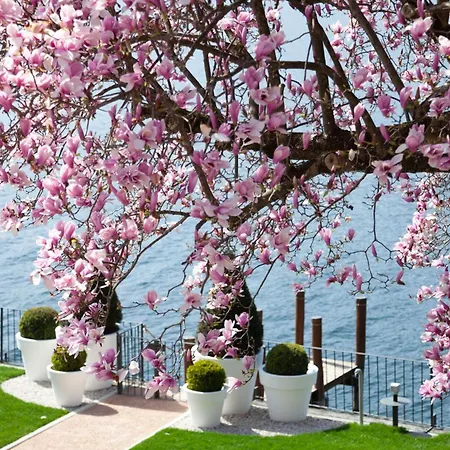 Bifora65 Flats And Garden - Lakeview Apartmán