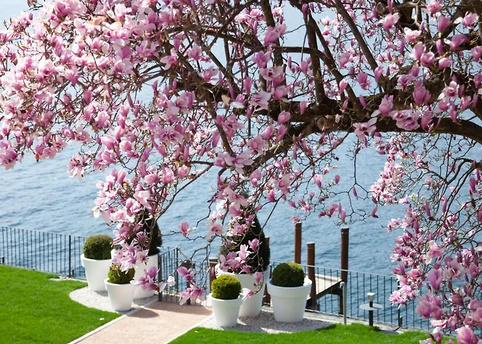 Bifora65 Flats And Garden - Lakeview Apartment